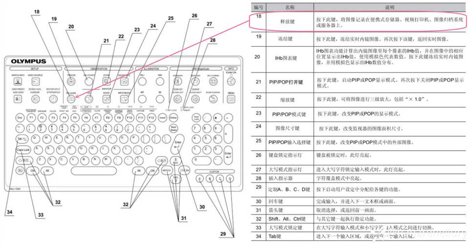 seo047的简单介绍