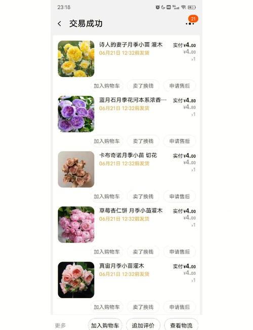 网站排名优化询宙r斯优惠