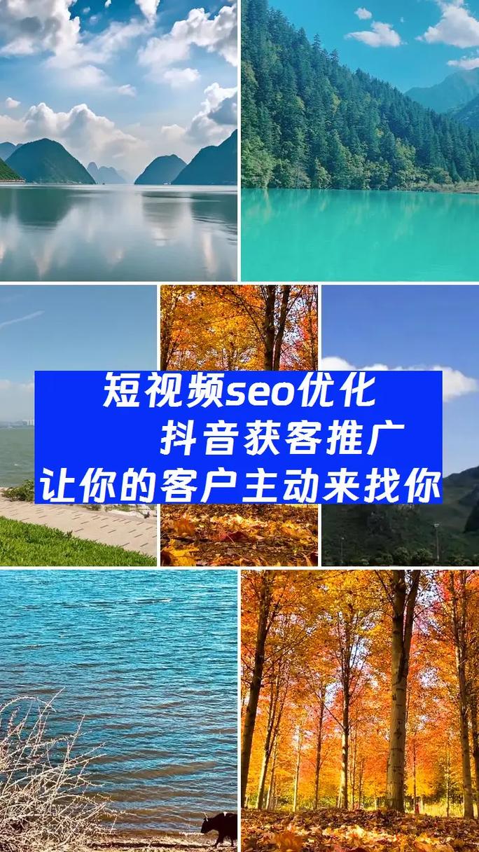 青岛seo优化作用