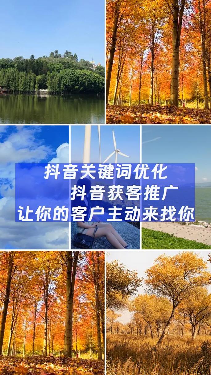 望谟抖音seo公司