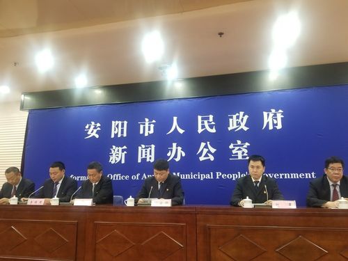 林州市网站优化工具电话