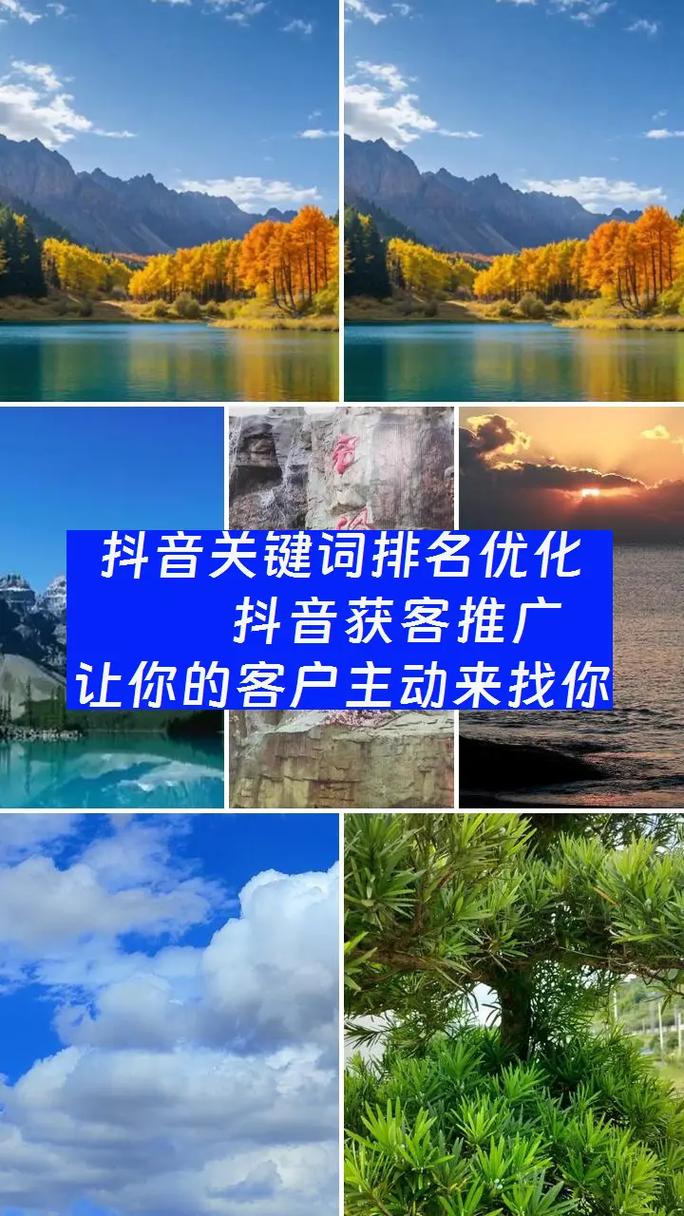 遂溪优化seo